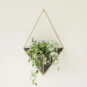 Jardinière écran mural large Umbra Trigg image-3