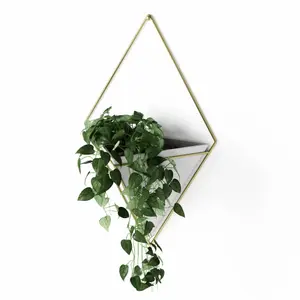 Breed wandscherm plantenbak Umbra Trigg image-4