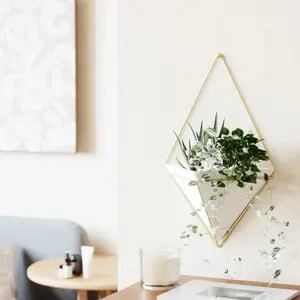 Breed wandscherm plantenbak Umbra Trigg image-3