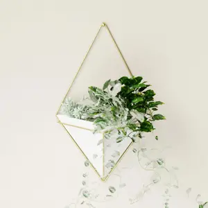 Breed wandscherm plantenbak Umbra Trigg image-1