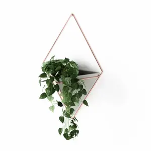 Wide wall screen planter Umbra Trigg image-0
