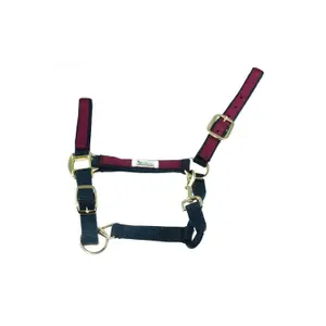 Smycz dla konia z kolorowego nylonu Umbria Equitazione image-0