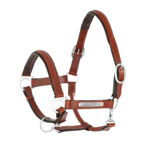 Pferdehalfter aus doppelt genähtem Leder mit Messingbeschlägen Umbria Equitazione image-0