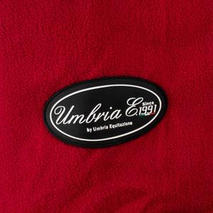 product/u/m/umbria-equitazione_co00051-burgundy_burgundy_3.jpg