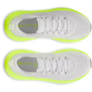 Damen-Laufschuhe Under Armour Infinite Elite 2