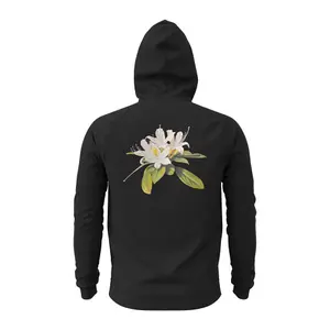 Sweatshirt à capuche graphique Under Armour Curry Range image-3
