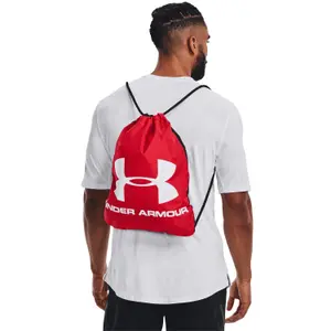 Mochila Under Armour Ozsee image-1