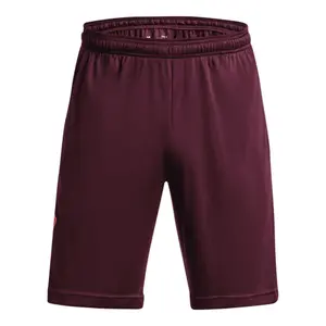 Shorts Under Armour Tech™ Graphic image-0