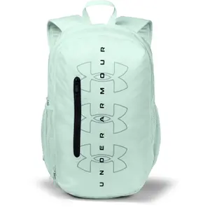 Backpack Under Armour Roland image-0