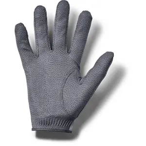 Golfhandschoenen Under Armour Storm image-1