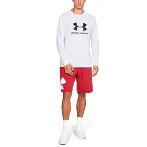 Long-sleeved top Under Armour Sportstyle Logo image-1