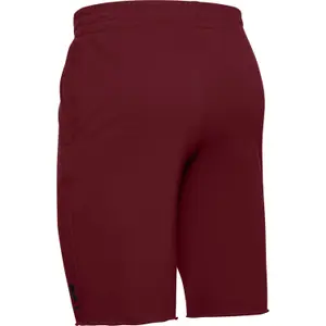 Short Under Armour Sportstyle Terry image-2