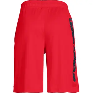 Boy's shorts Under Armour Prototype Wordmark image-1