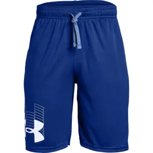 Boy's shorts Under Armour Prototype Logo image-0