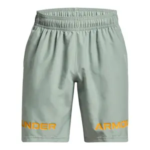 Korte Under Armour Graphic Wordmark image-0