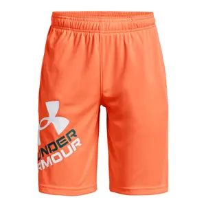 Children's shorts Under Armour Prototype 2.0 Logo image-0