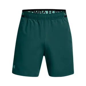 Szorty  Under Armour Vanish 26 cm image-0