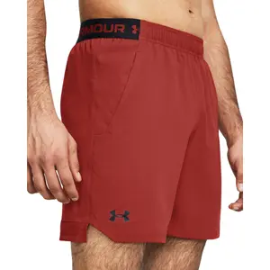 Gewebte Shorts Under Armour Vanish image-5