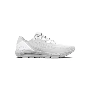 Running shoes Under Armour Hovr sonic 5 image-0
