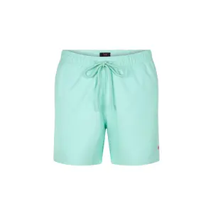 Swim shorts Undiemeister