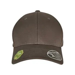 Cap Urban Classics Flexfit 110 Organic image-2