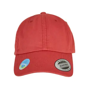 Cap Flexfit Ecowash Dad image-3