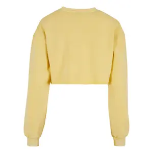 Sweatshirt crop brodé de fleurs grandes tailles femme Urban Classics image-1