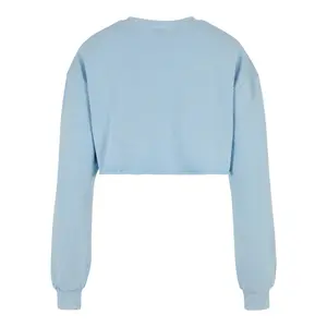 Sweatshirt crop brodé de fleurs grandes tailles femme Urban Classics image-1