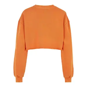 Sweatshirt crop brodé de fleurs grandes tailles femme Urban Classics image-1