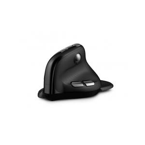 Souris sans fil bluetooth ergonomique pour droitier Urban Factory Ergo Max RGB
