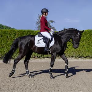 Pantalon équitation full grip femme USG Liv image-1