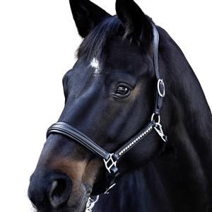 15000012-204-400-halter-for-horse-usg-lovely-black-silver-coloured
