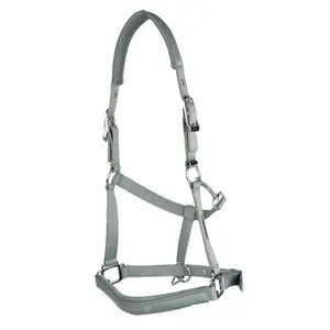 Halter for horse USG Shiny image-0