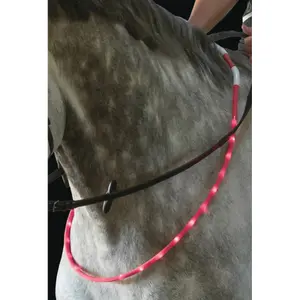 Collare LED per cavallo USG image-1