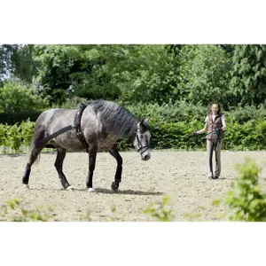 Pás pro koně USG Lehmann image-1