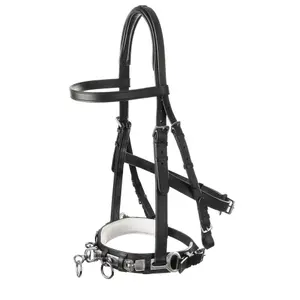 Caveçon pour cheval rembourrage USG image-0