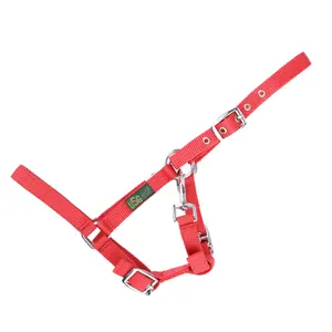 Cabezada para potro USG image-1