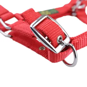 Cabezada para potro USG image-2