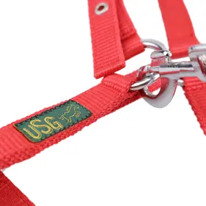 Cabezada para potro USG image-3