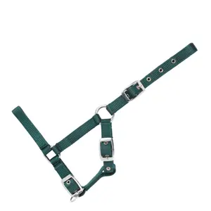 Cabezada para potro USG image-0