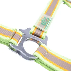 Licol pour cheval USG Basic image-3