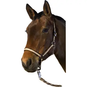 Licol pour cheval USG Basic image-1