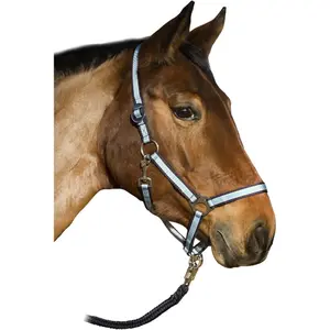 Licol pour cheval USG Basic image-1