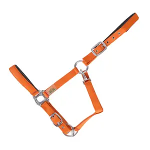 Cabestro acolchado USG Everyday image-0