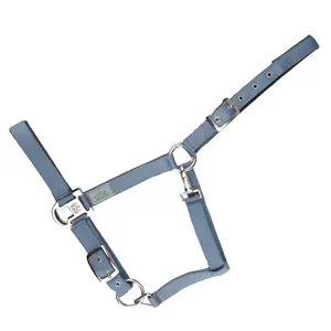 Halster för häst USG Everyday image-0