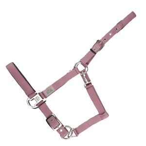 15050006-421-400-cabestro-para-caballos-usg-everyday-paisley-rose