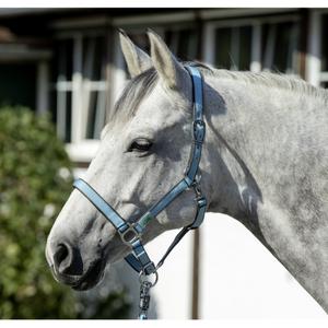 Cabestro acolchado USG Everyday image-1