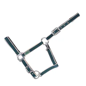 Cabestro acolchado USG Everyday image-0