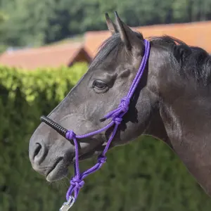 Geknoopt touwhalster met glittersteentjes voor paard USG image-1