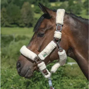 Cabestro con piel sintética para caballo USG Fluffy image-1